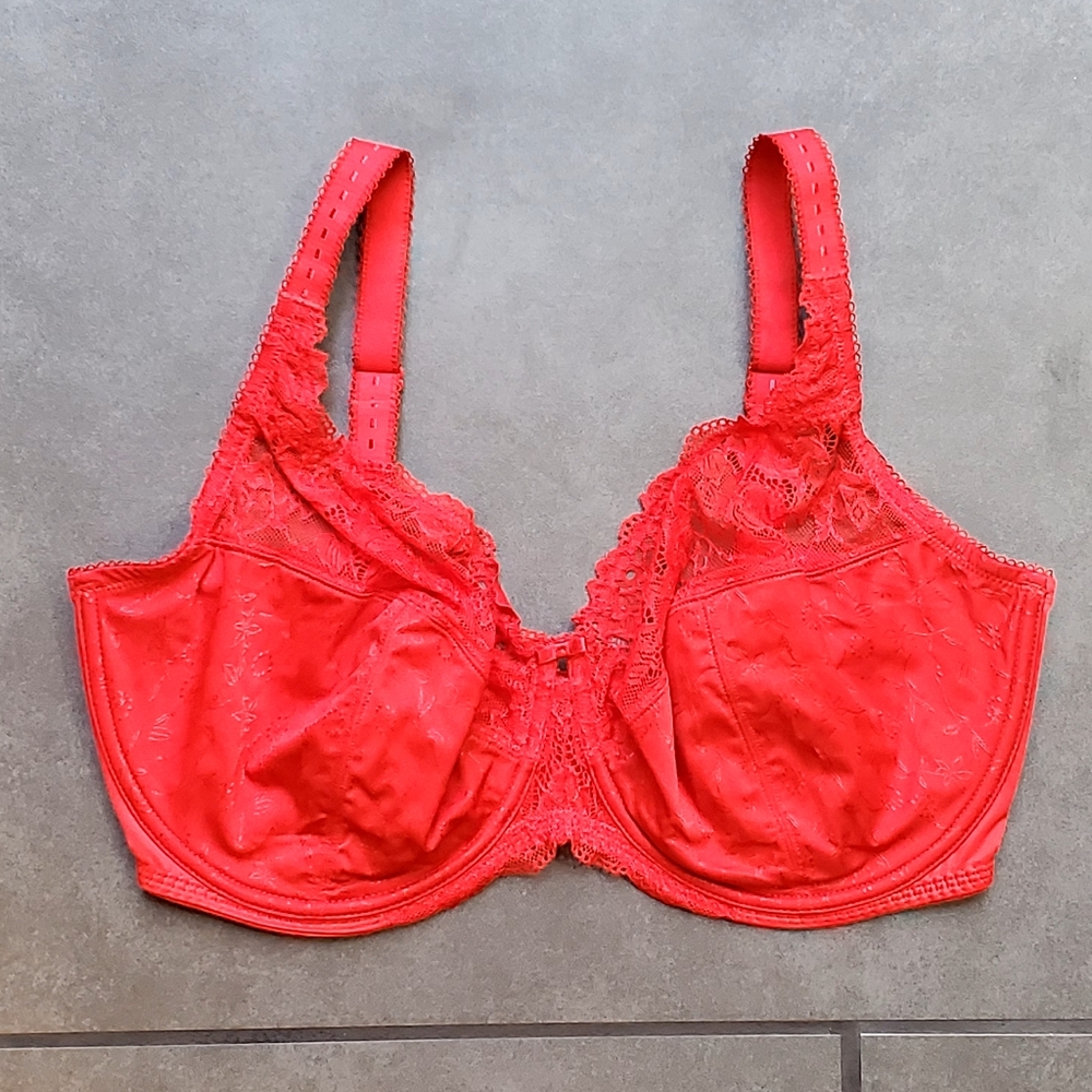 Delimira Underwire Bra 38H